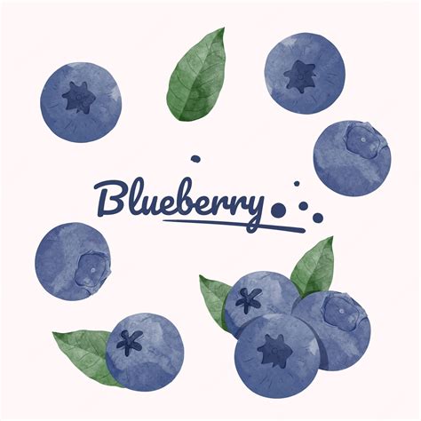 blueberry designer